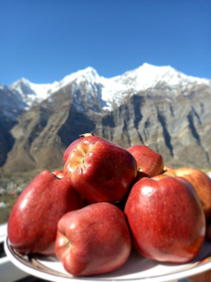 Lahaul Home Stay Sumnam Tandi Exterior photo